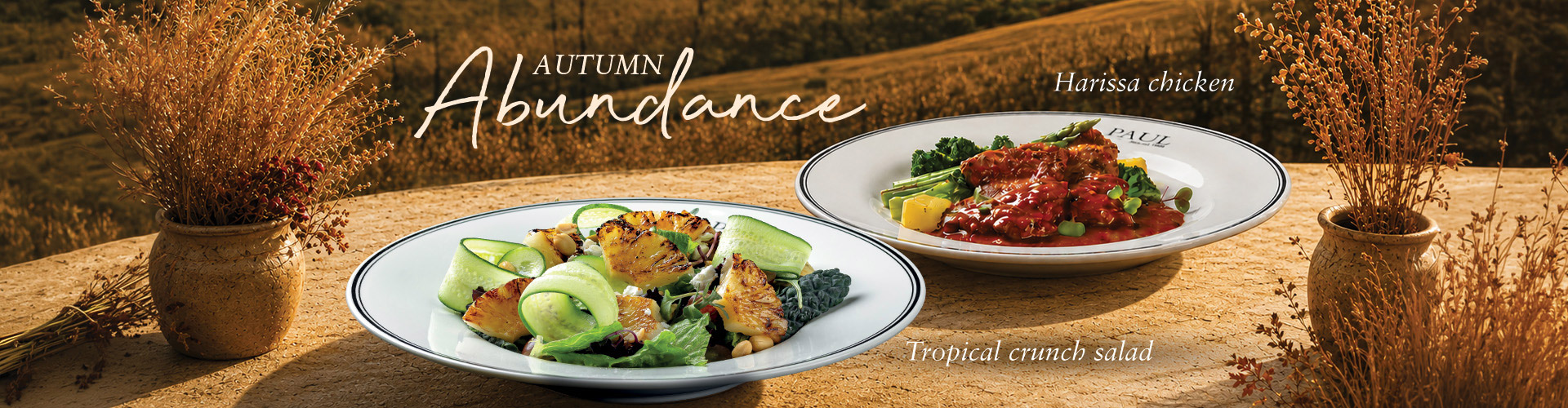 Abundance